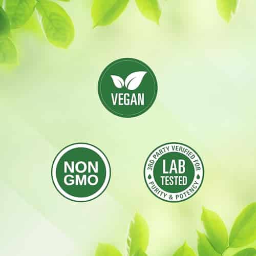 Nested Naturals Choline Bitartrate 500mg - High Potency Choline Supplements - Supports Cognitive Performance & Liver Function - 100% Vegan & Non-GMO Choline - 90 Vegan Capsules - Image 9