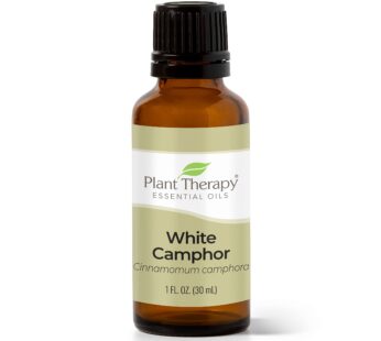 Plant Therapy White Camphor Essential Oil 30 mL (1 oz) 100% Pure, Undiluted, Therapeutic Grade