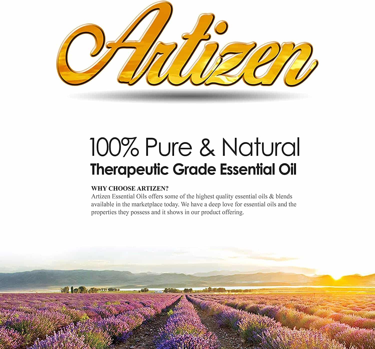 Artizen 30ml Oils - Spruce Essential Oil - 1 Fluid Ounce - Image 8