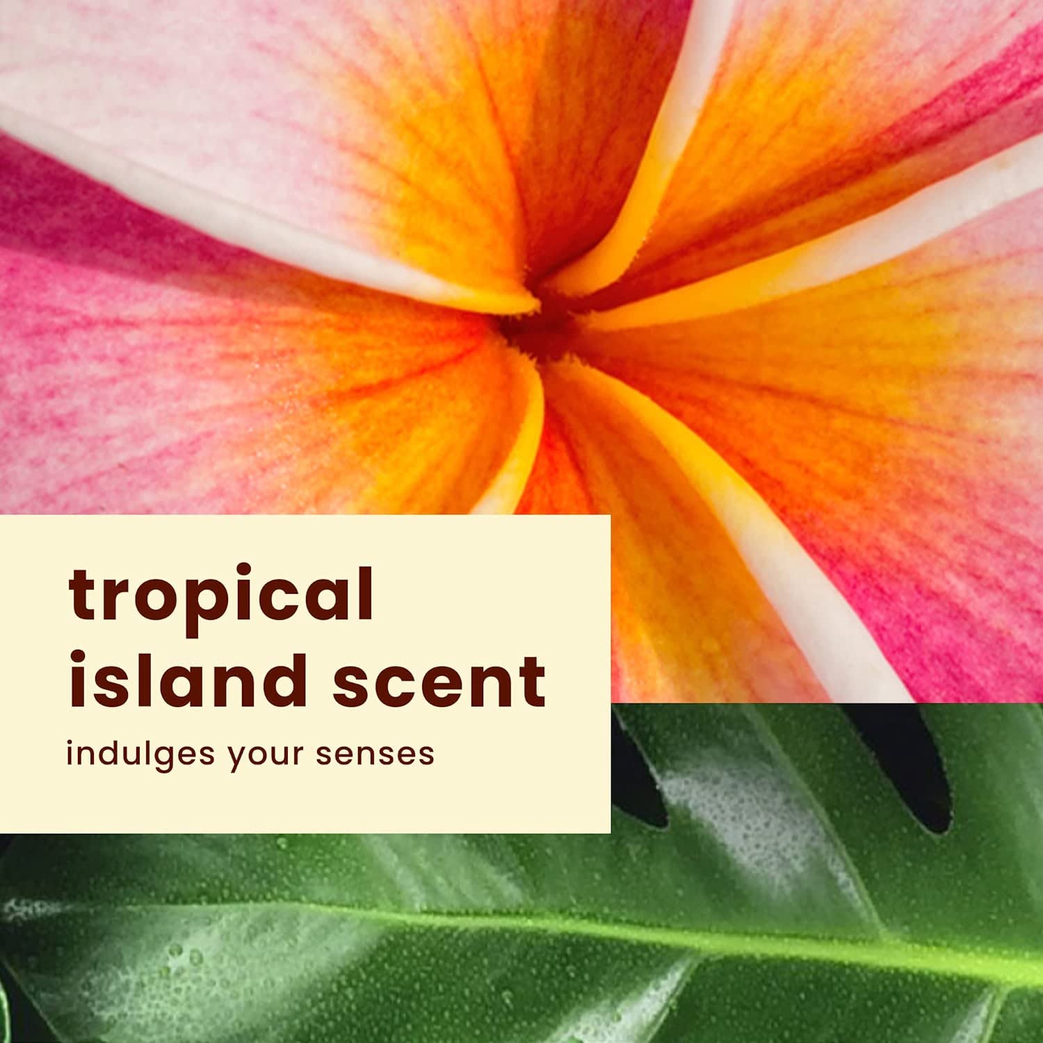 Hawaiian Tropic Sheer Touch Spf#15 Lotion 8oz (3 Pack) - Image 7