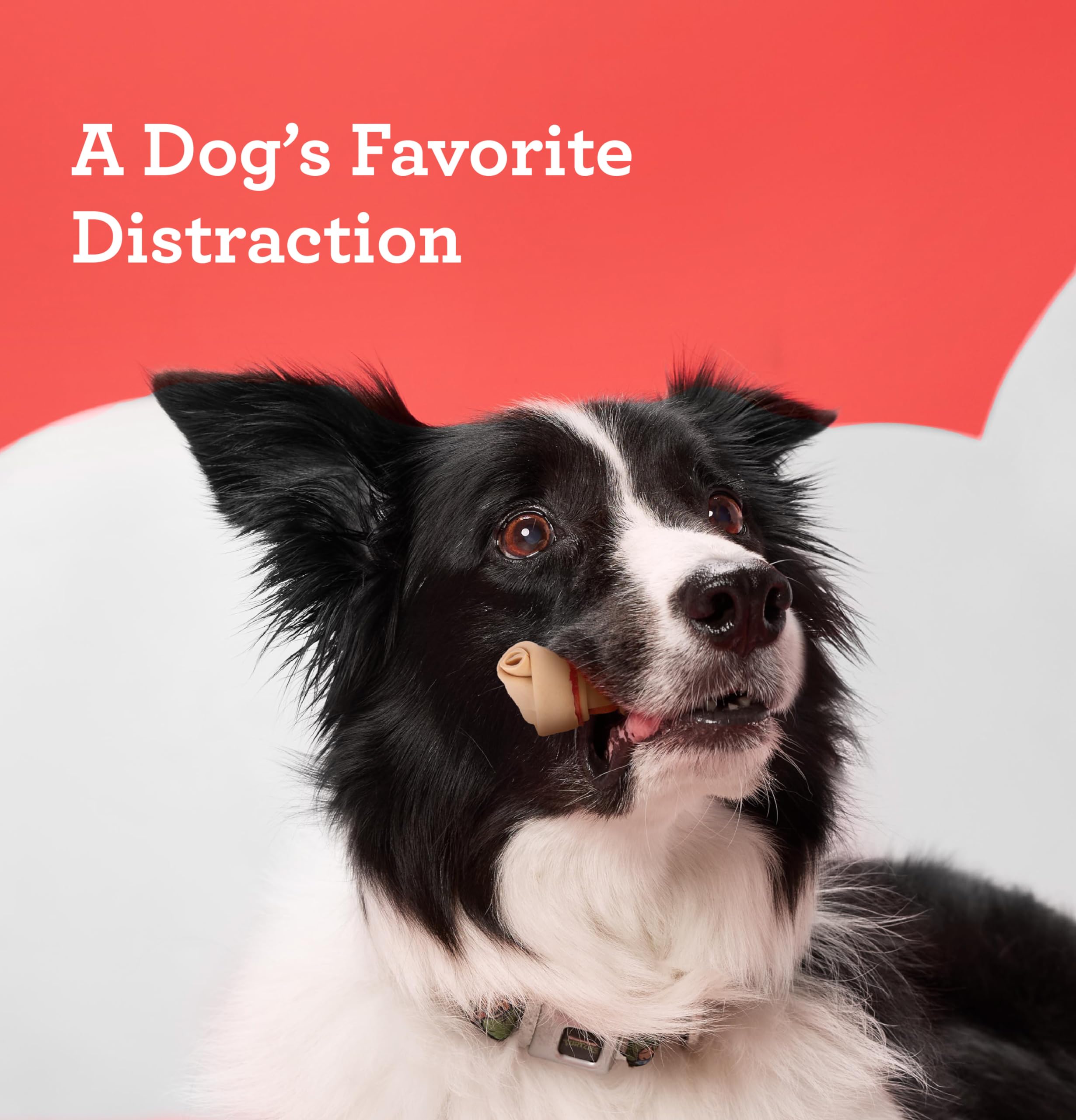 DreamBone DreamSticks With Real Chicken Chews For Dogs, 15 Count, These Easy-to-Digest Rawhide-Free Chews are a Dog?s Favorite Distraction - Image 5