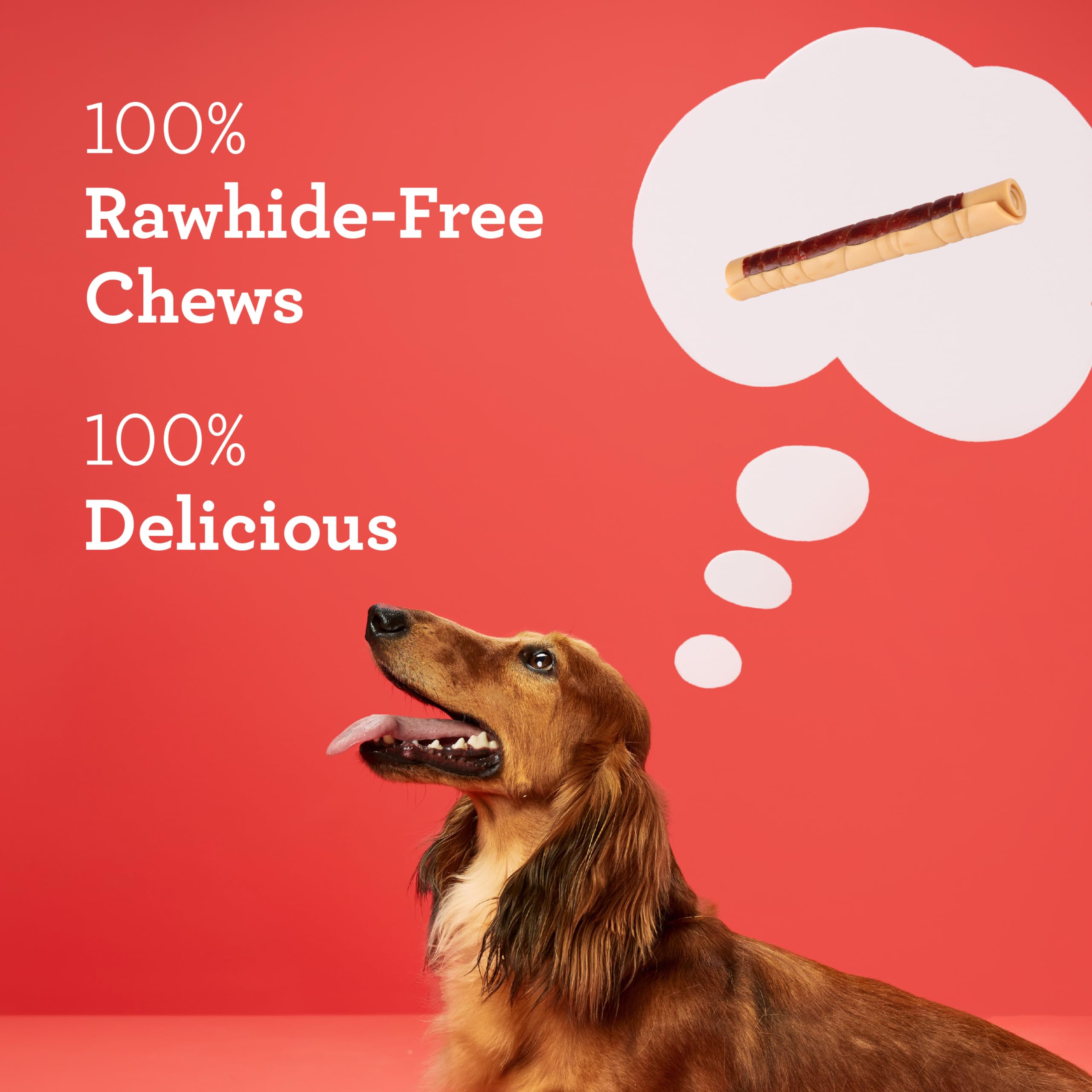 DreamBone DreamSticks With Real Chicken Chews For Dogs, 15 Count, These Easy-to-Digest Rawhide-Free Chews are a Dog?s Favorite Distraction - Image 3
