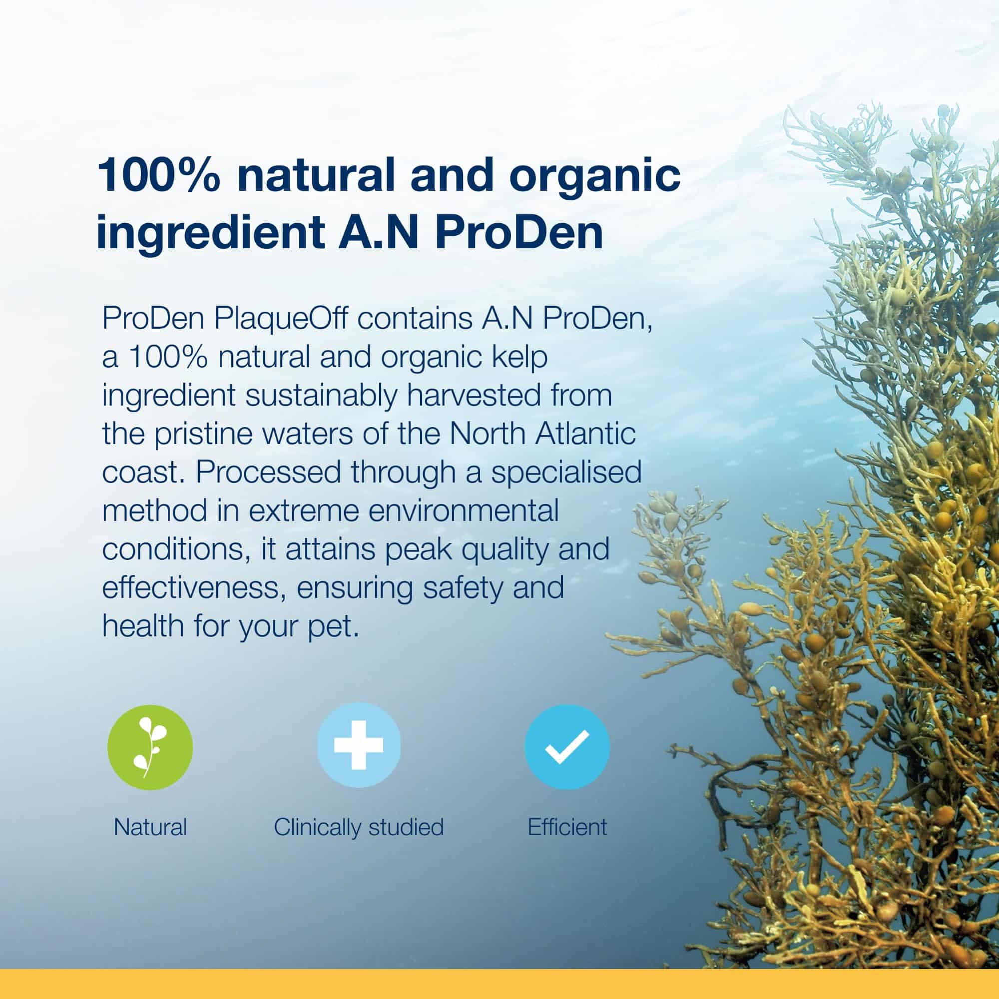 Plaque Off for Cats 40g - Special Feline Formulation - Image 9