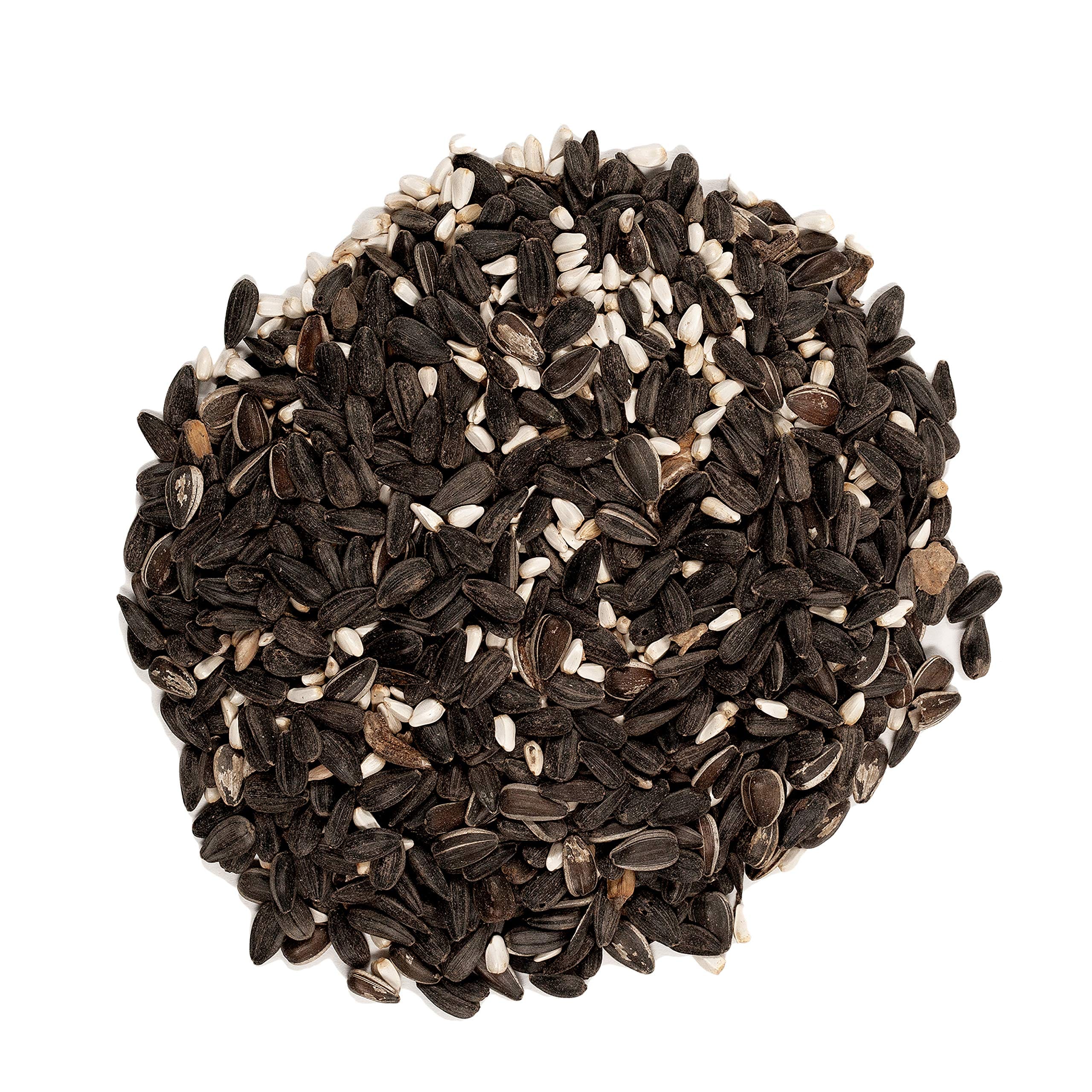 Wagner's 62032 Cardinal Blend Wild Bird Food, 6-Pound Bag - Image 3