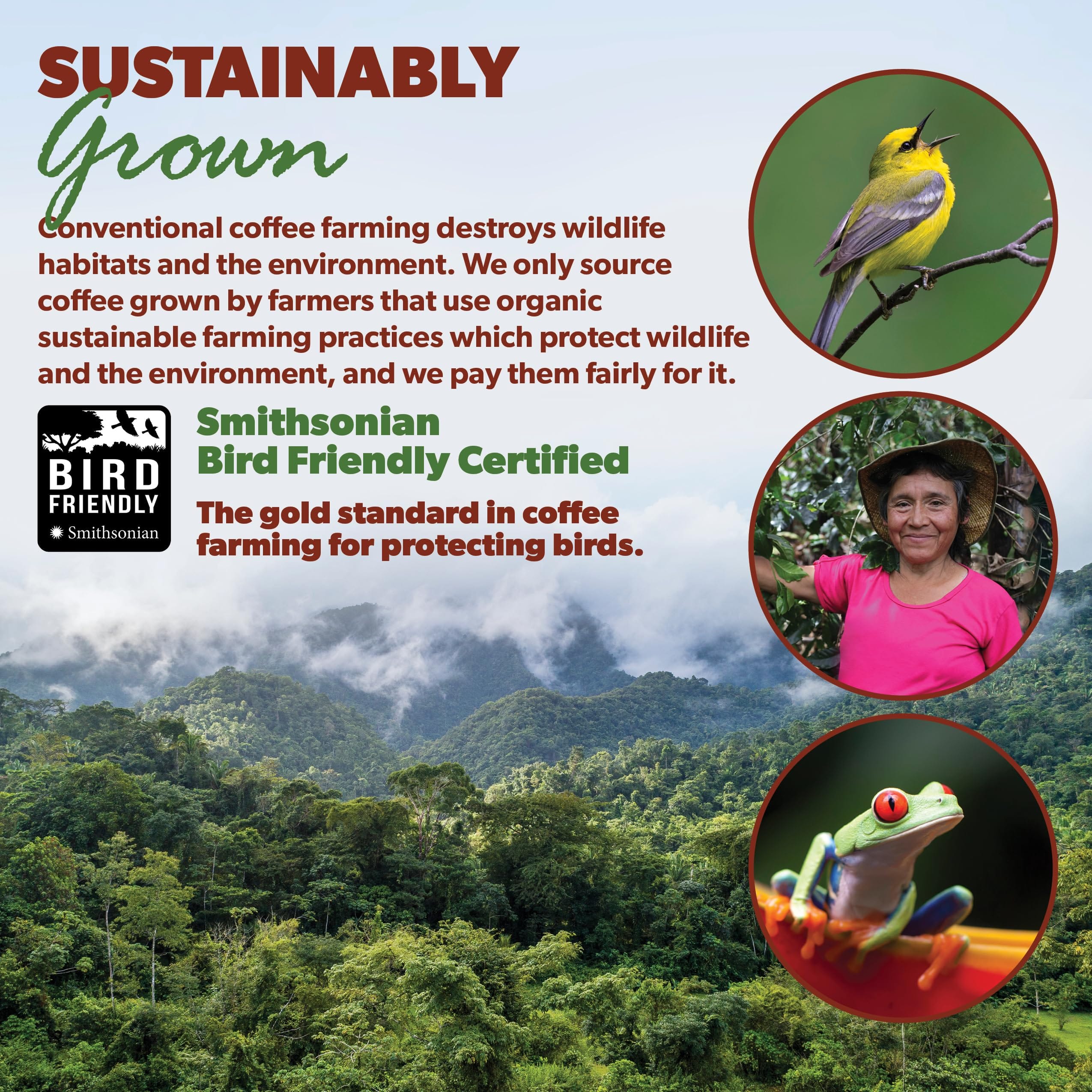Java Planet Low Acid Coffee, Organic Colombian Single Origin: Whole Bean Medium Dark Roast - Smooth Full Flavored Coffee Bean, Two 1LB Bags - Image 6