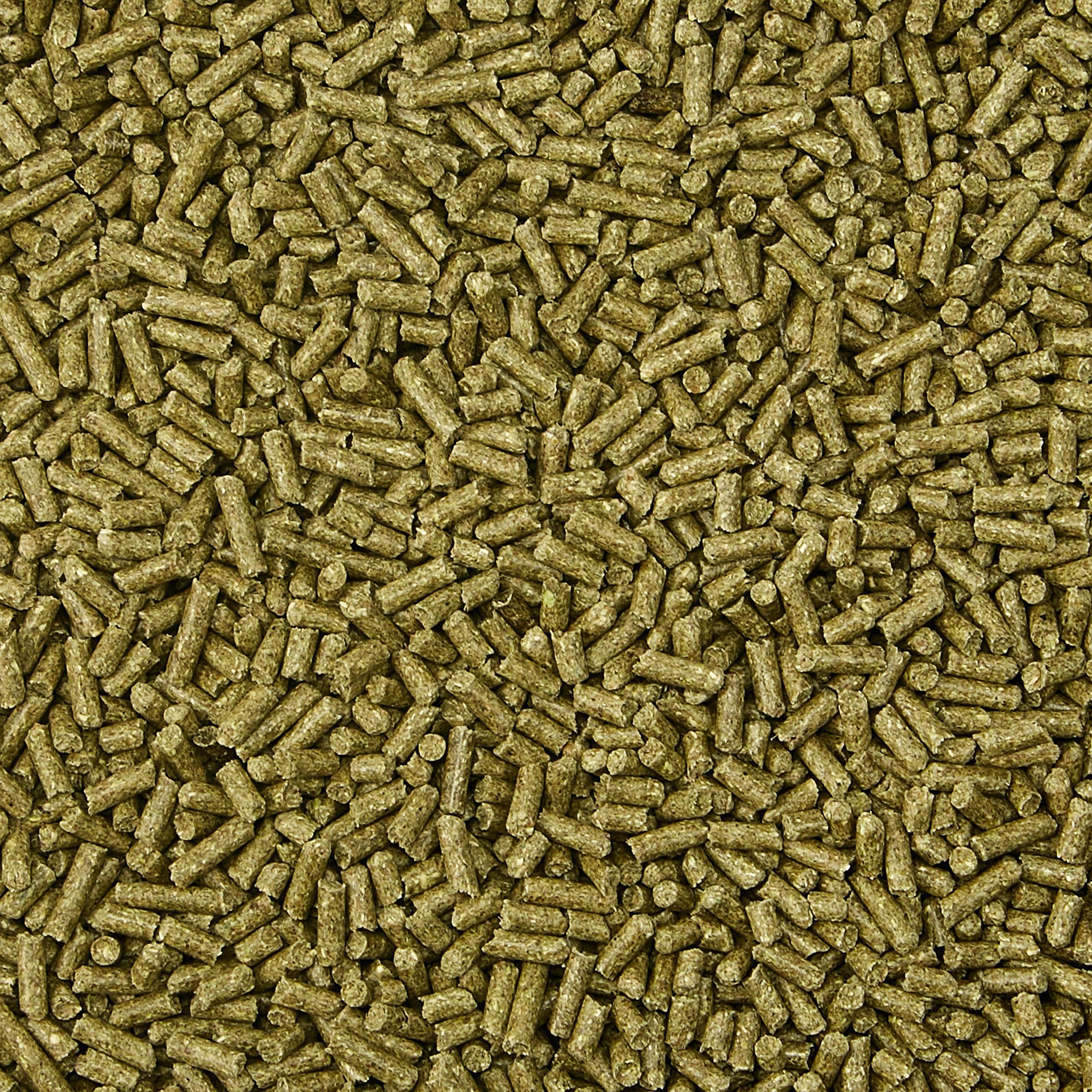 Kaytee Timothy Complete Pet Rabbit Food 9.5 pounds - Image 2