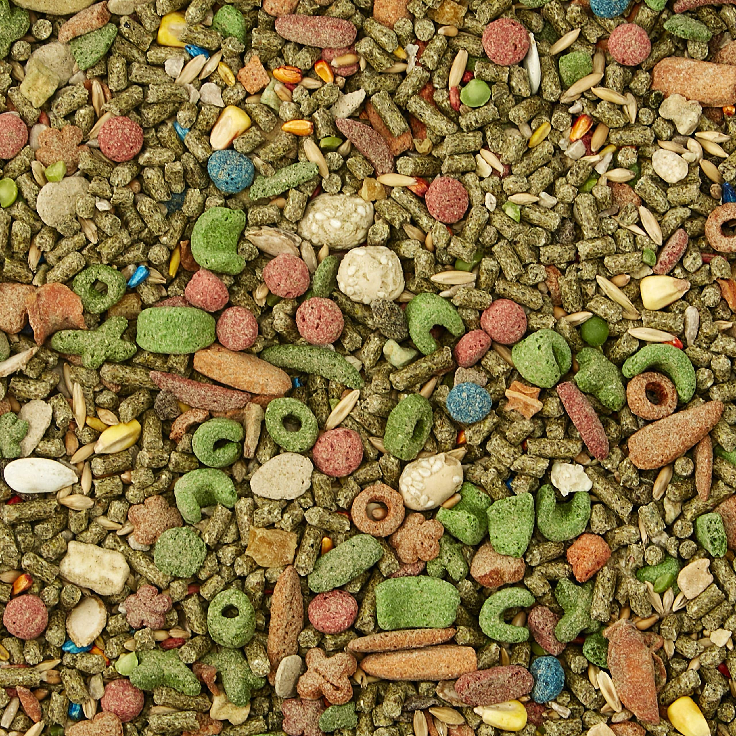 Kaytee Fiesta Pet Guinea Pig Food, 4.5 Pound - Image 6