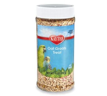 Kaytee Oat Groats Treat Jar- All Pet Birds 11 oz