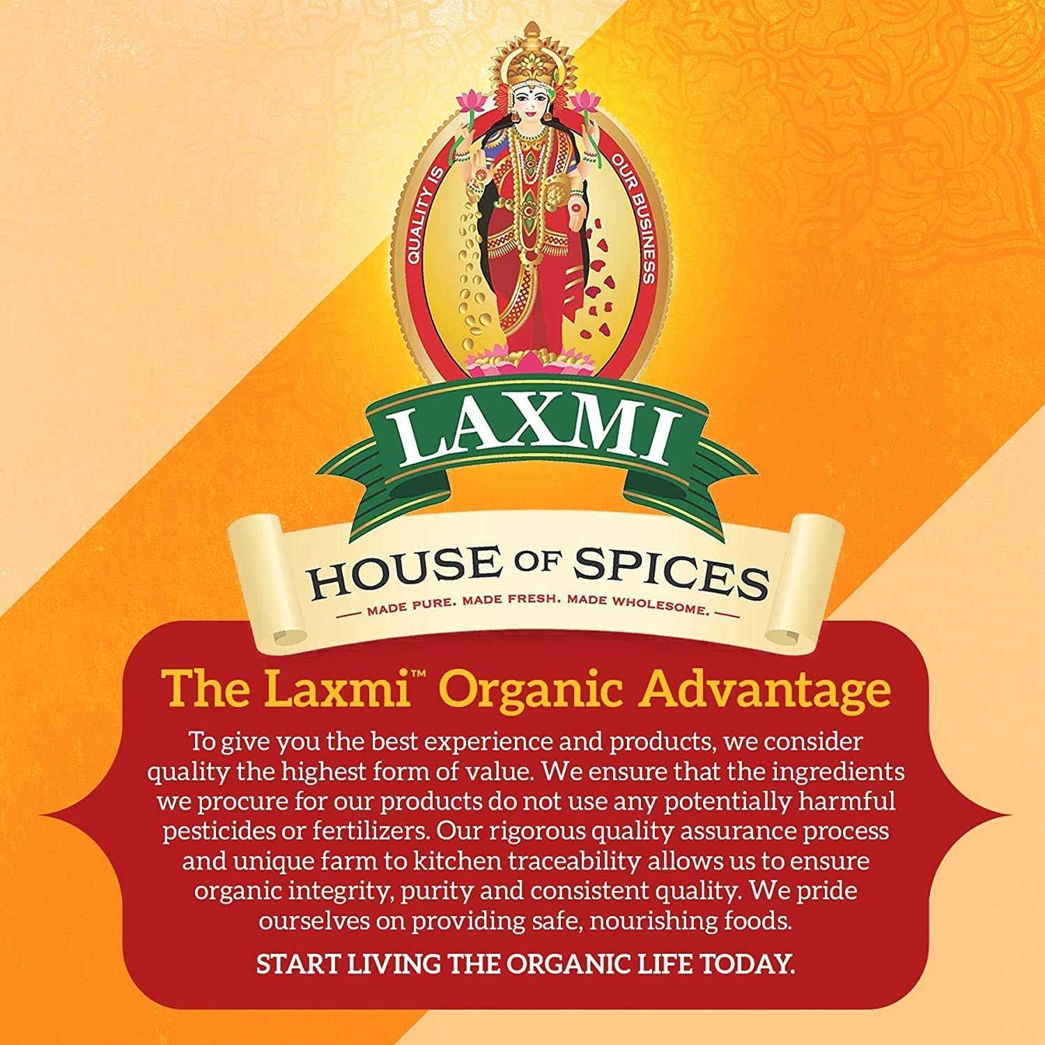 Laxmi Gram (Besan) Flour - 2lb - Image 5