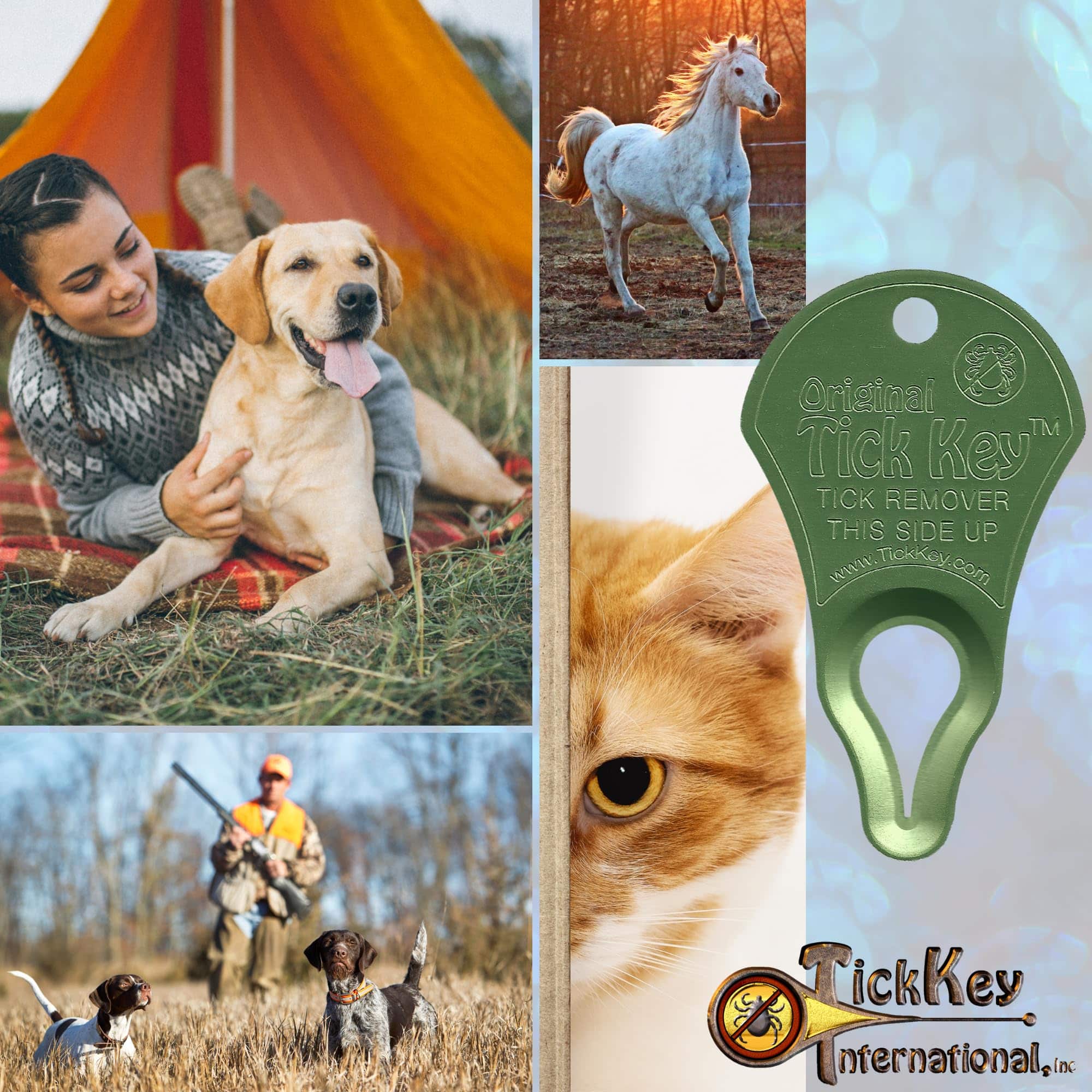 The Original Tick Key - Tick Detaching Device - Portable, Safe and Highly Effective Tick Detaching Tool (Light Green) - Image 3