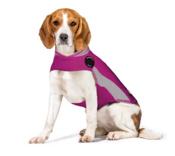 ThunderShirt for Dogs, Medium, Pink Polo – Dog Anxiety Vest
