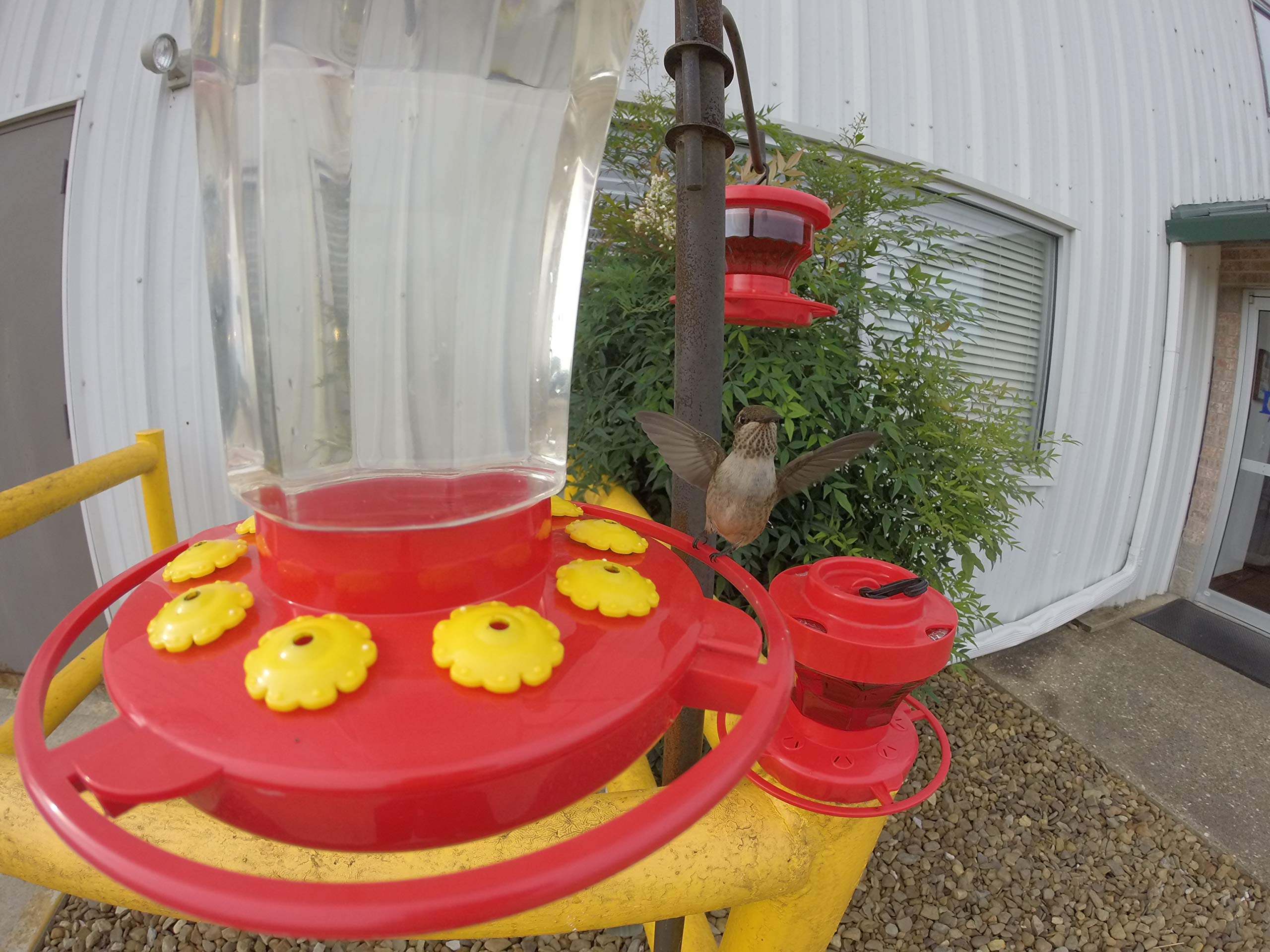 First Nature 3090 32-ounce Hummingbird Flower Feeder - Image 6